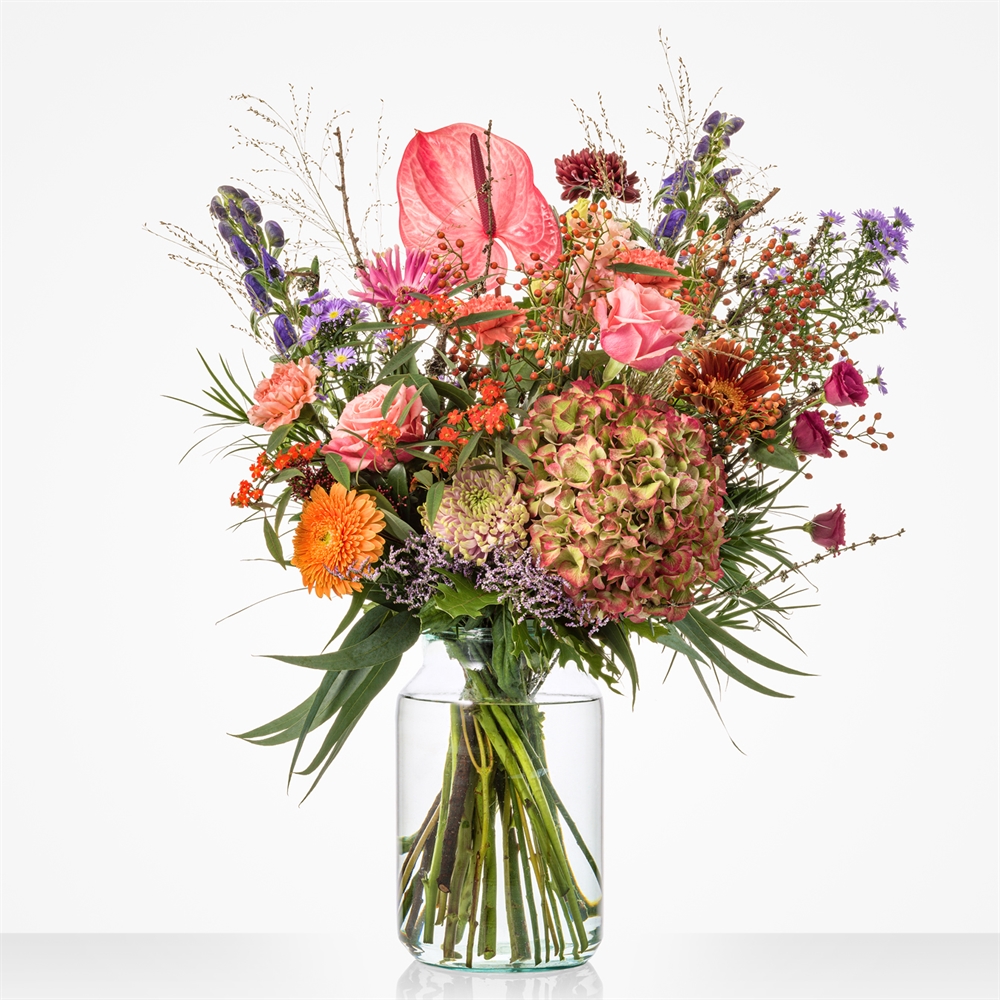 Royaal najaar  Royaal najaar